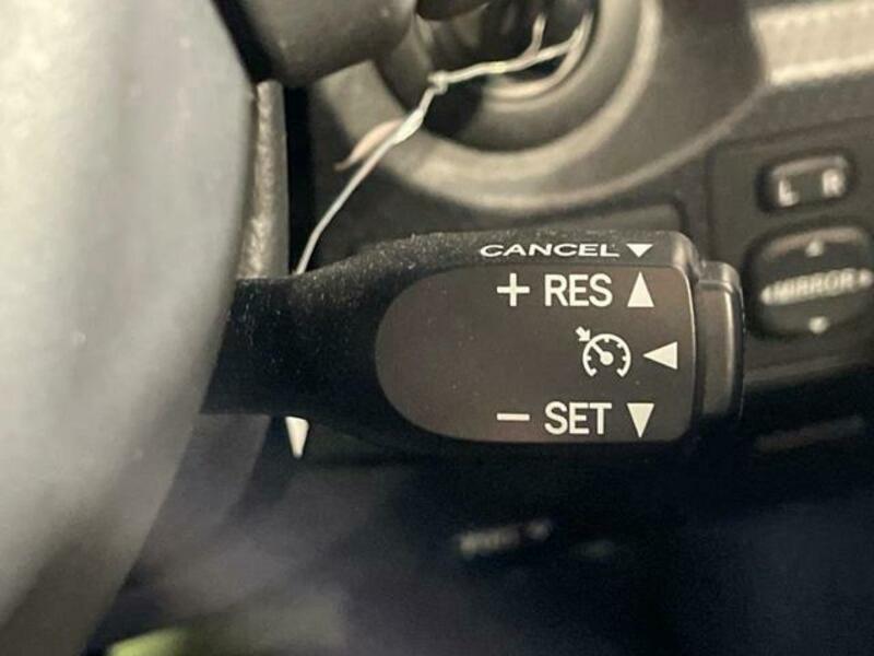 FJ CRUISER