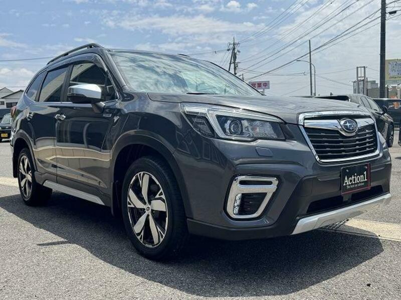 FORESTER