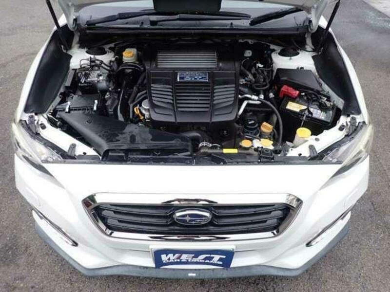 LEVORG-5