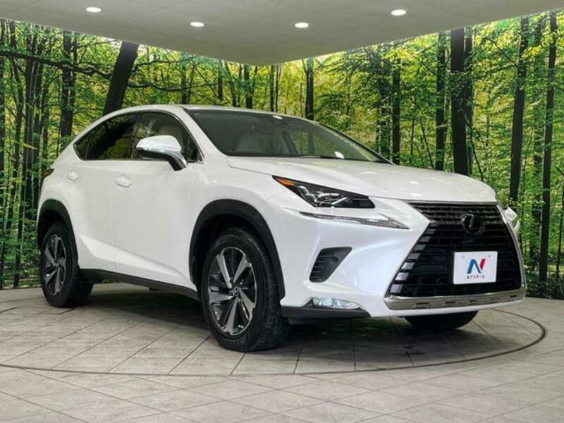 NX