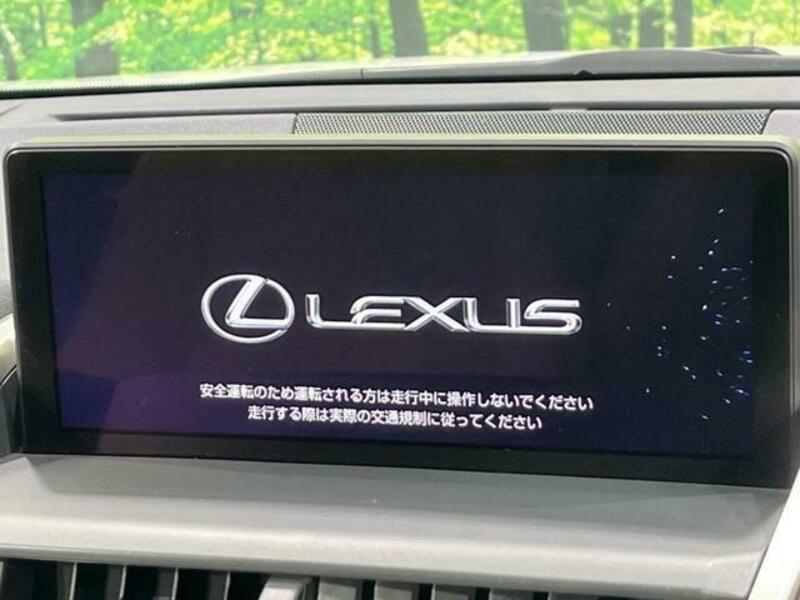 NX