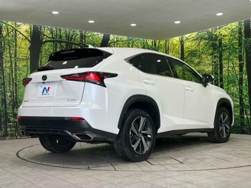 NX