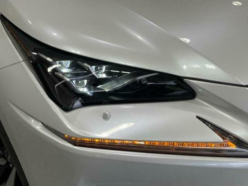 NX