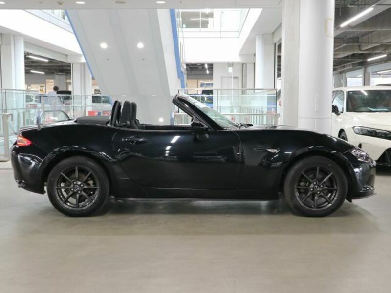 ROADSTER