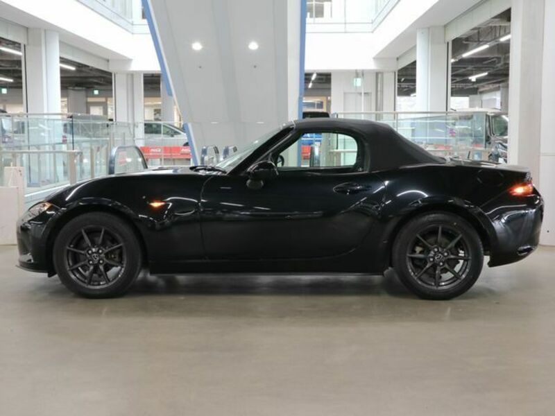 ROADSTER