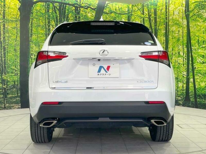 NX
