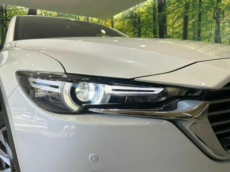 CX-8