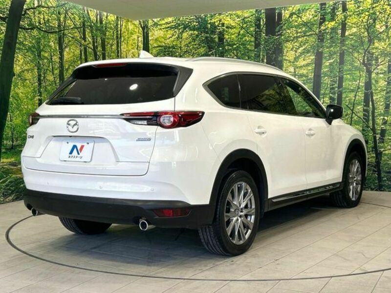 CX-8
