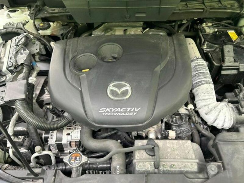 CX-8