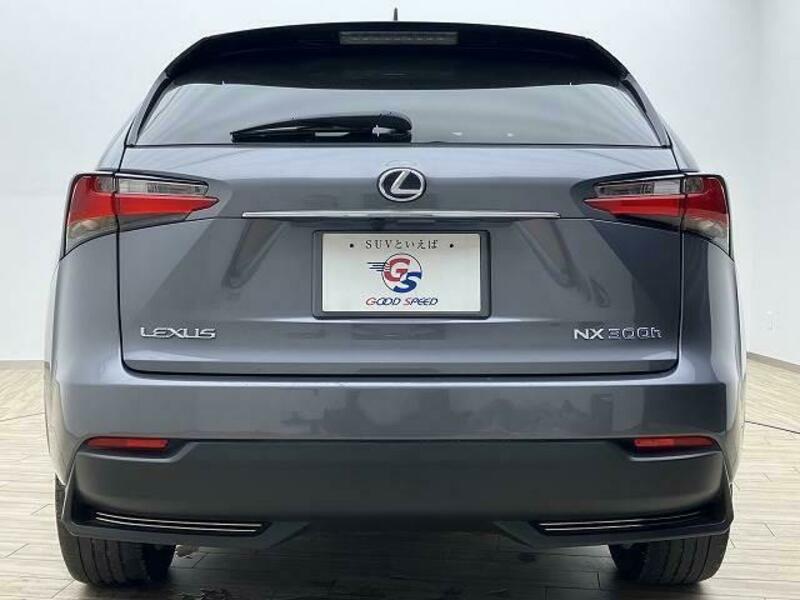 NX
