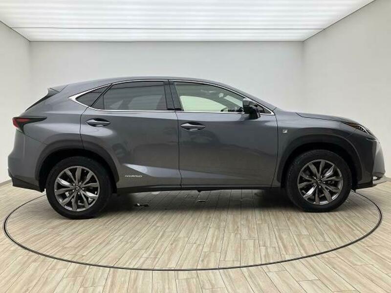 NX