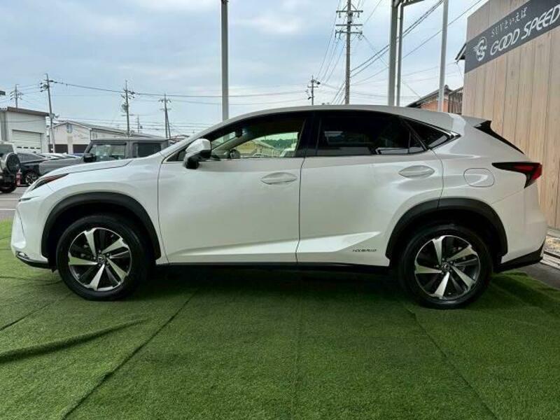 NX
