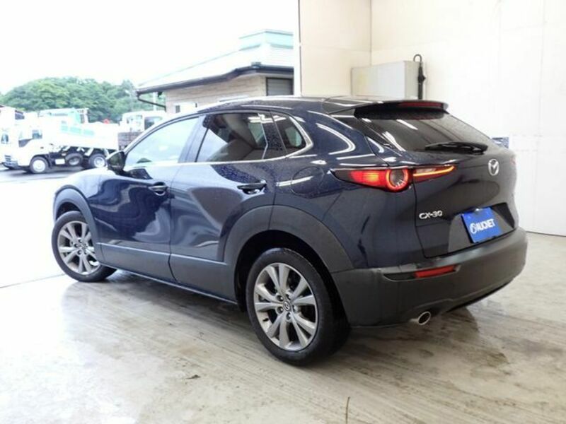 CX-30