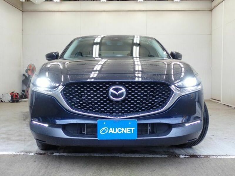 CX-30
