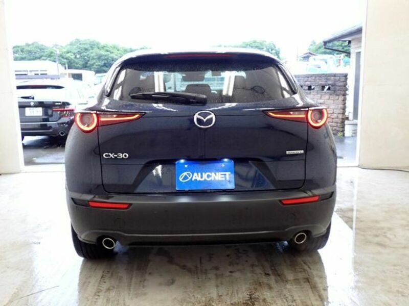 CX-30