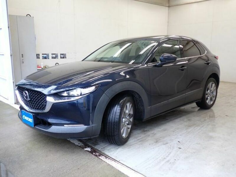 CX-30