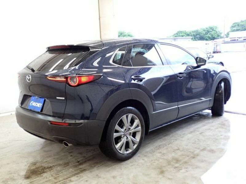 CX-30