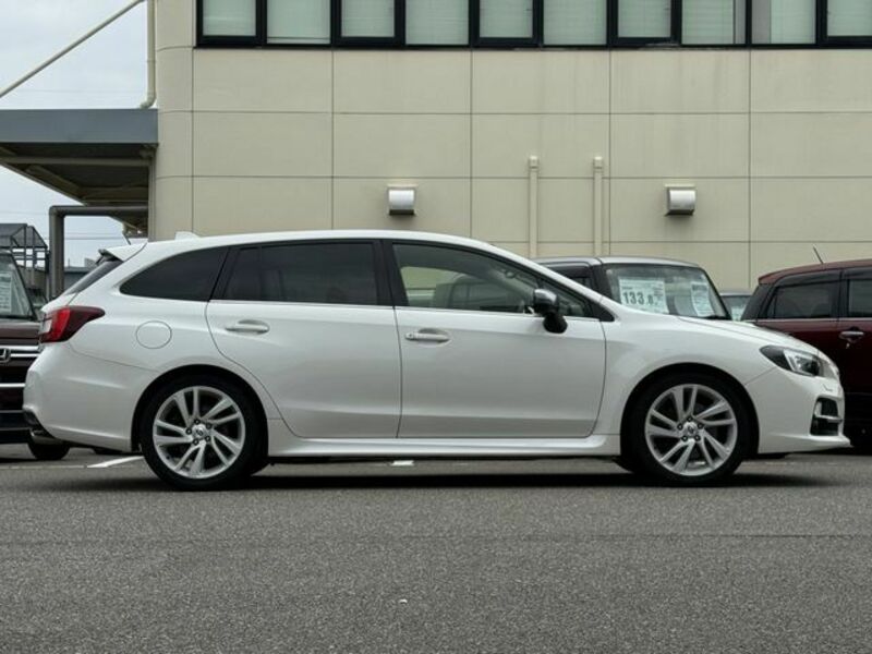 LEVORG