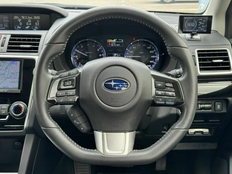 LEVORG