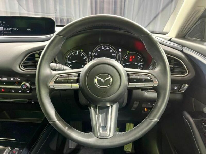 CX-30