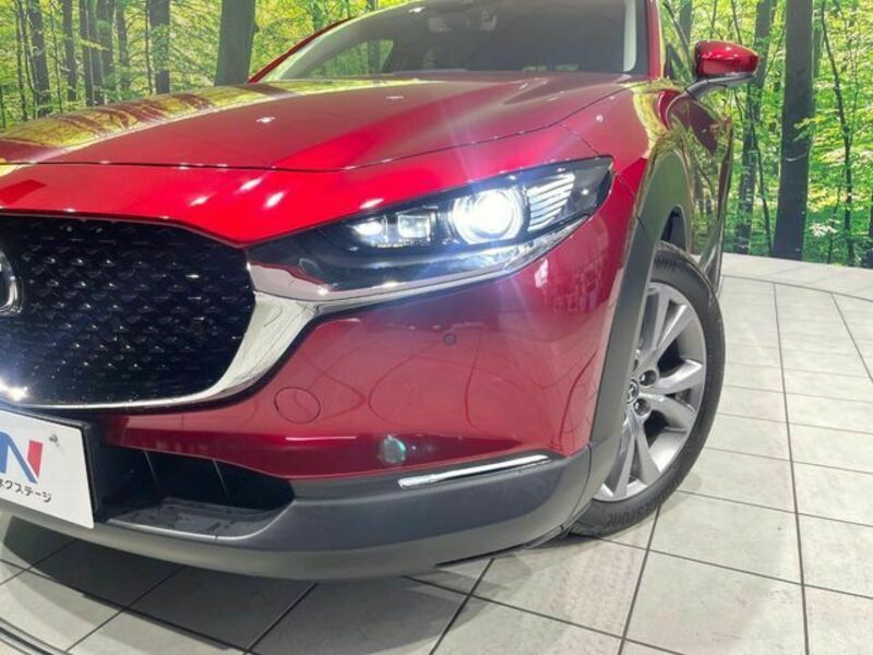 CX-30