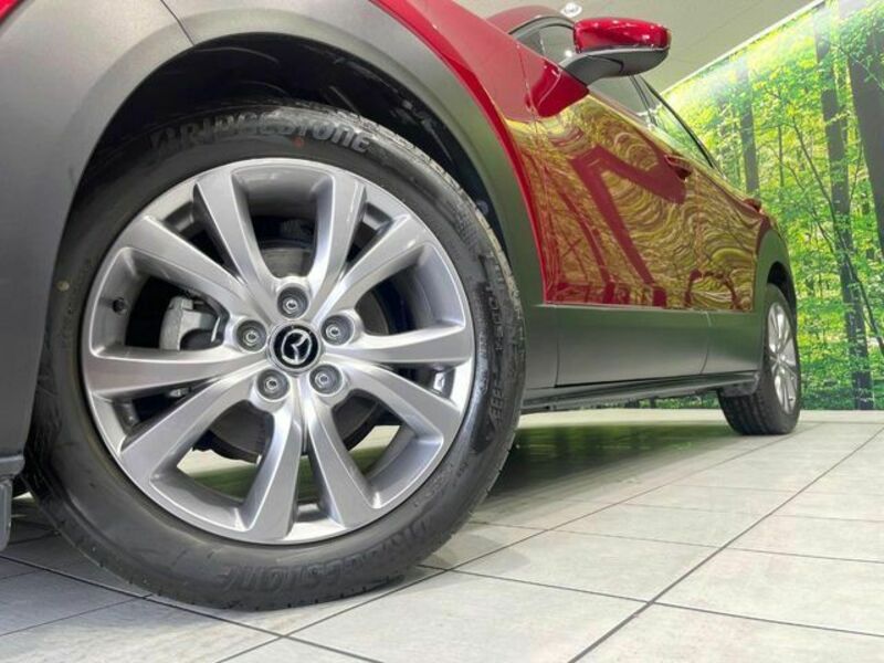 CX-30