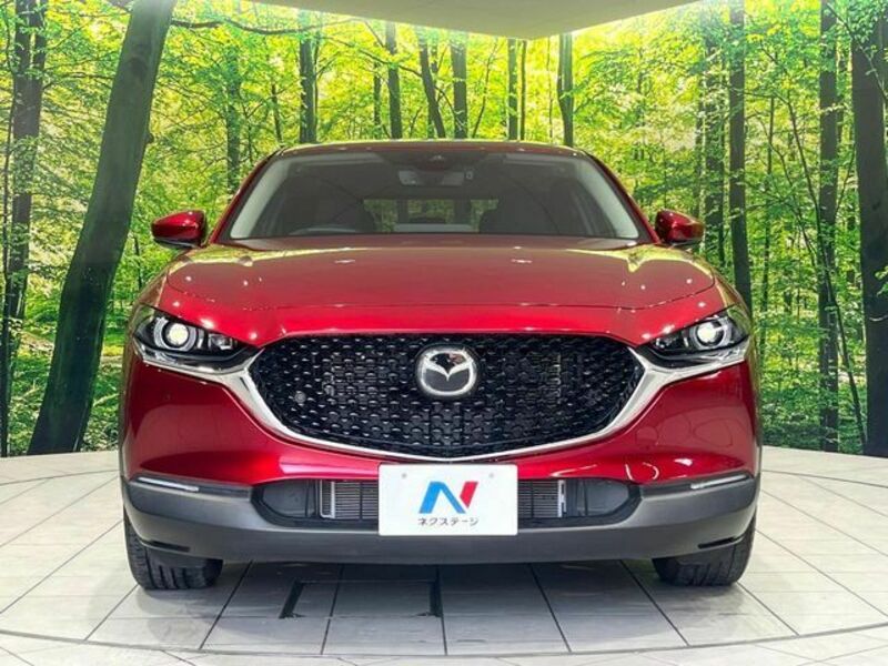 CX-30