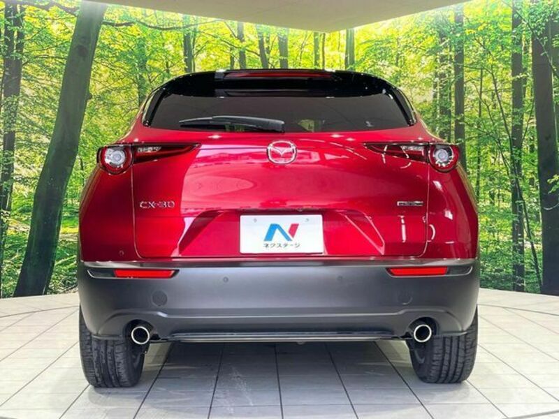 CX-30