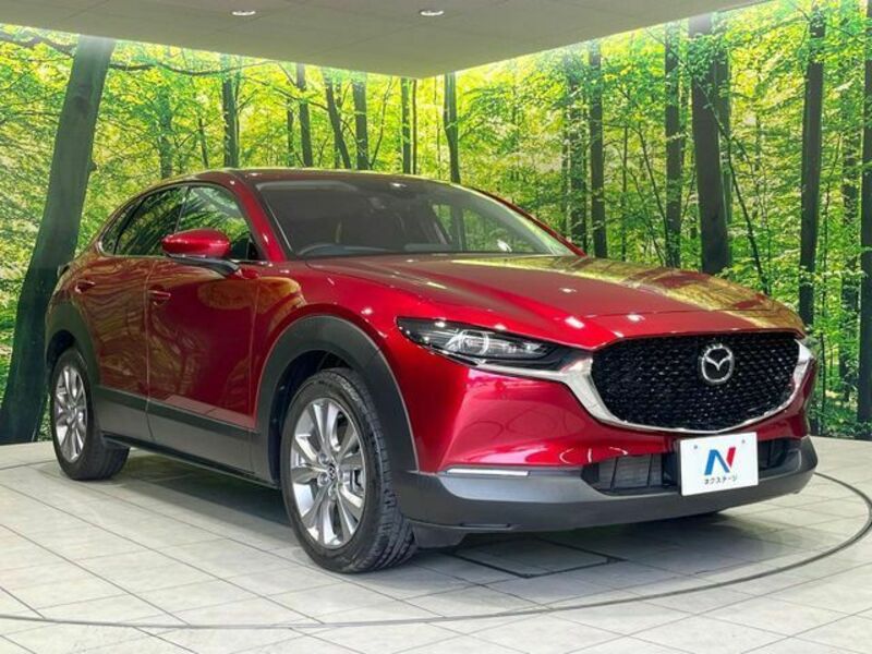 CX-30