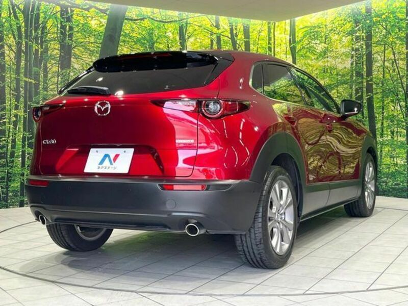 CX-30