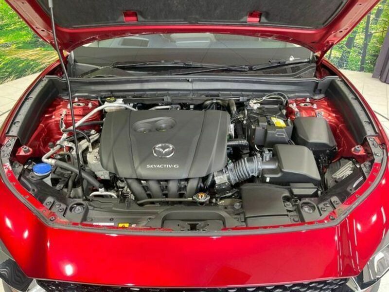 CX-30
