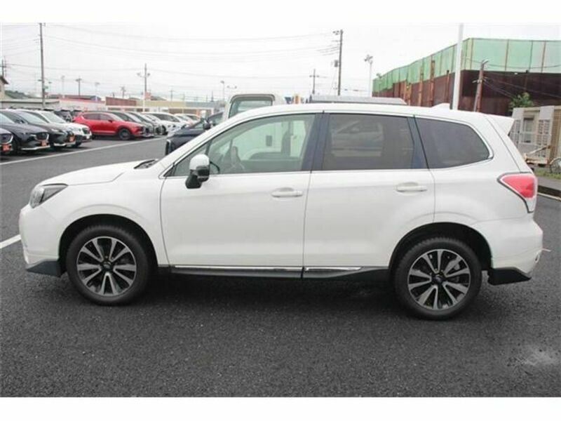 FORESTER