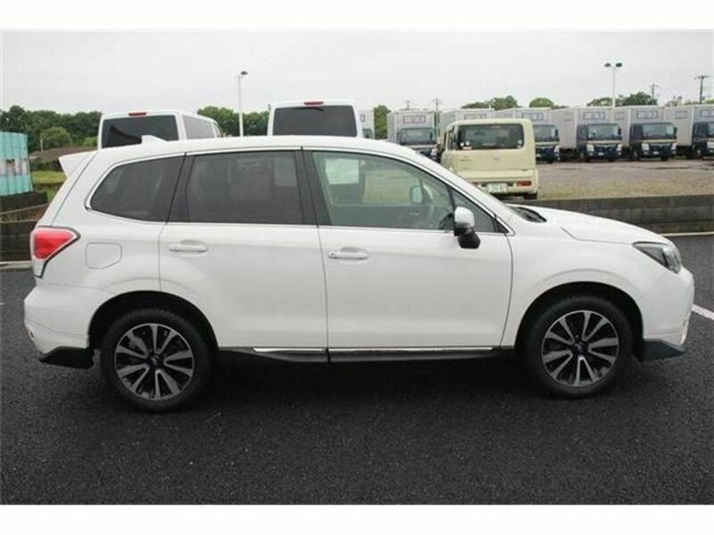 FORESTER