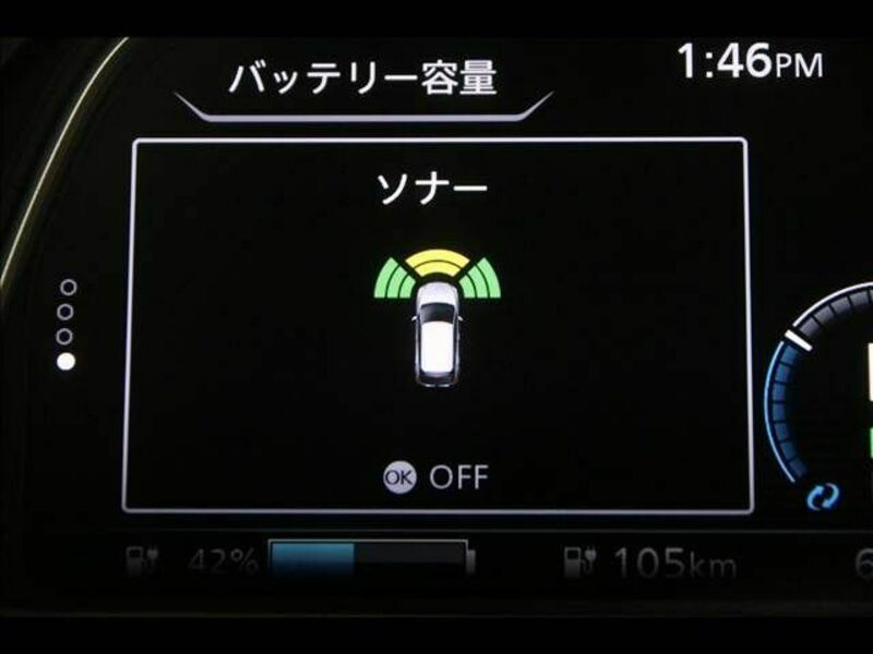 LEAF