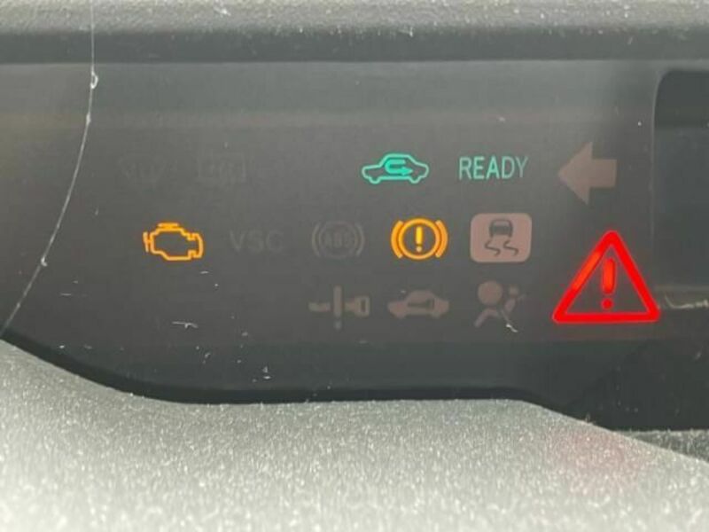 PRIUS-21