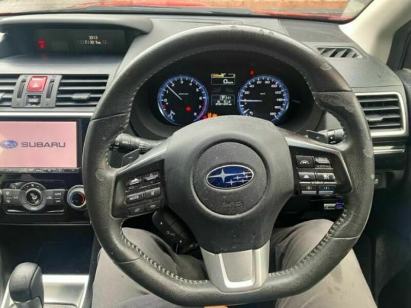 LEVORG