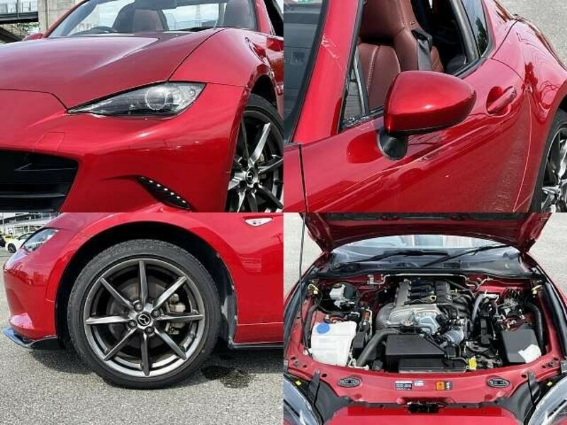 ROADSTER RF
