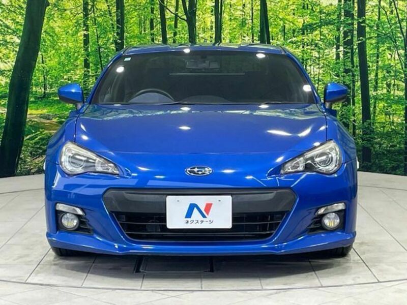 BRZ-13