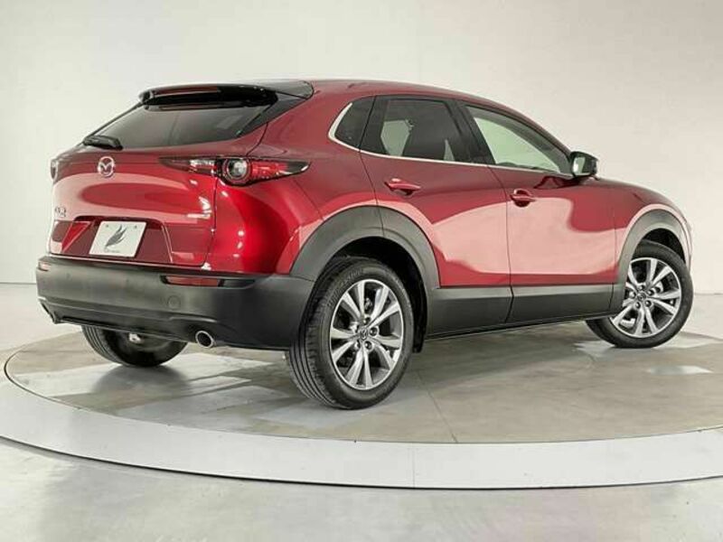 CX-30