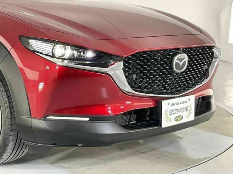CX-30