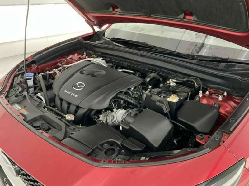 CX-30