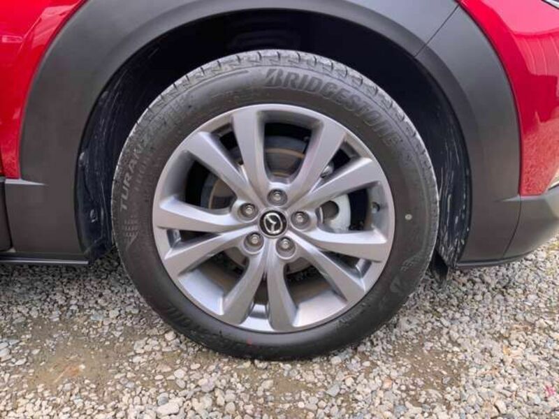 CX-30