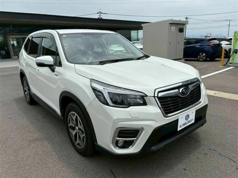 FORESTER-4