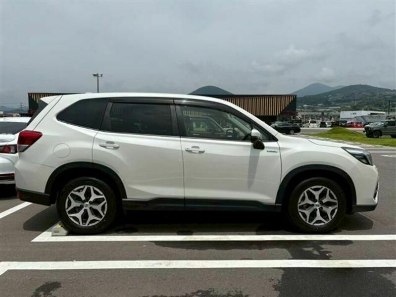 FORESTER-6