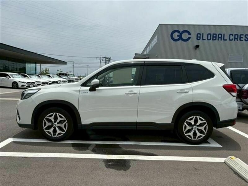 FORESTER-7