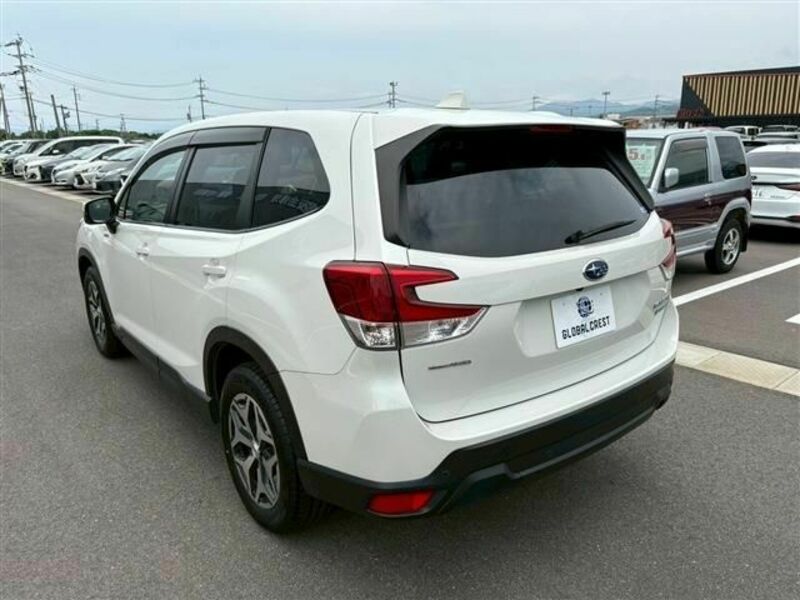 FORESTER-9