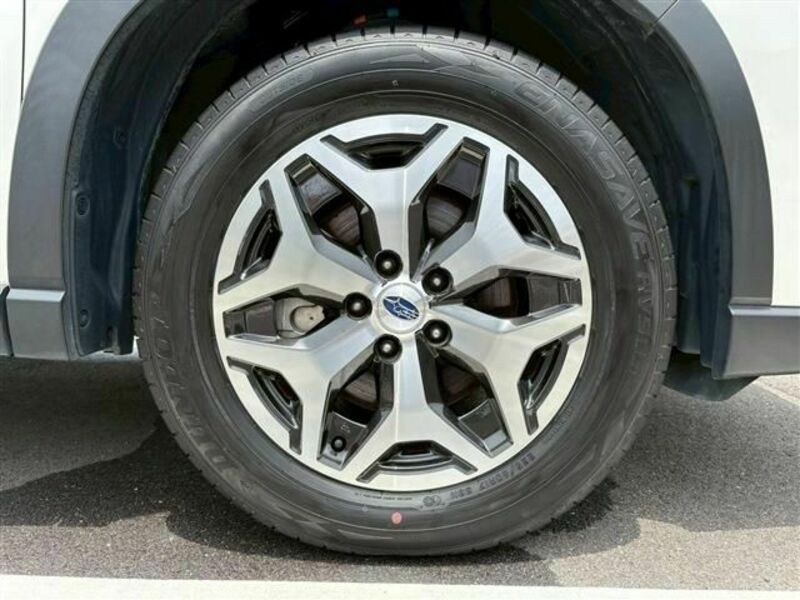 FORESTER-11