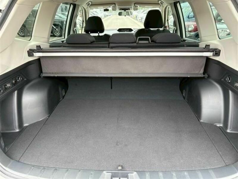 FORESTER-12