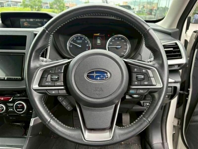 FORESTER-19