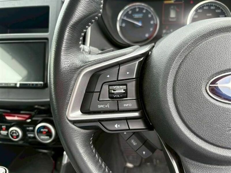 FORESTER-20